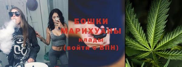 ALPHA PVP Покров